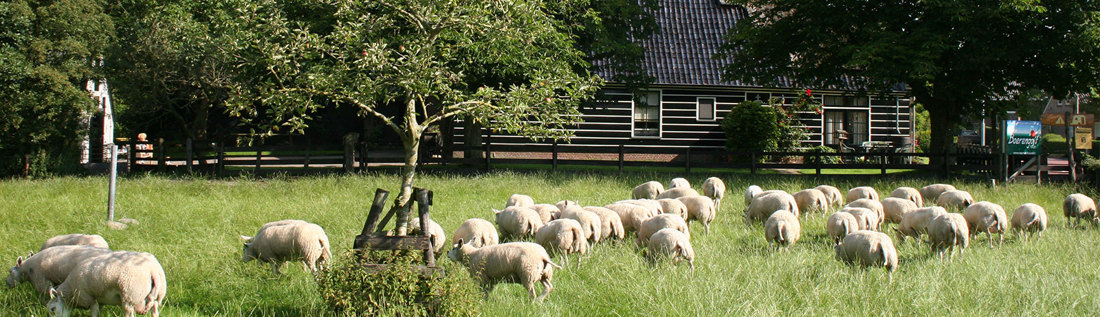 Manuelhoeve — photo 2